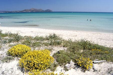 Apartment Alcudia Ocean View Buitenkant foto